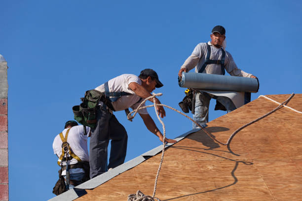 Best Flat Roof Repair Services  in Highland Acres, DE
