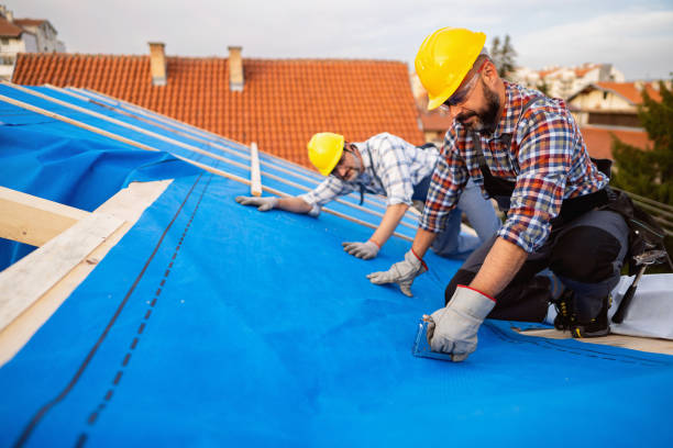 Best Roof Leak Repair  in Highland Acres, DE